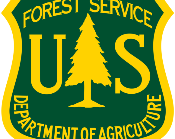 Funding Opportunity: U.S. Forest Service GLRI Cooperative Weed Management Areas