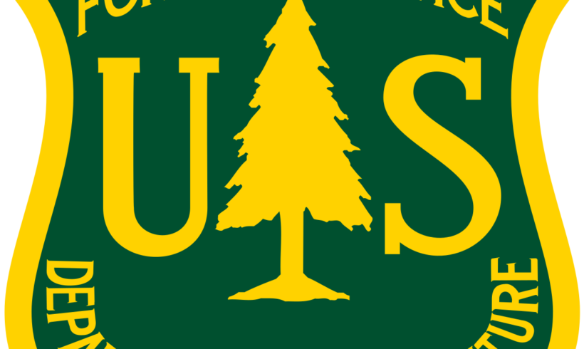 Funding Opportunity: U.S. Forest Service GLRI Cooperative Weed Management Areas
