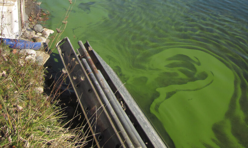 State of the Science: Harmful Algal Blooms and Invasive Species