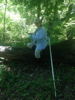 Image of Dr. Aronson in a forest