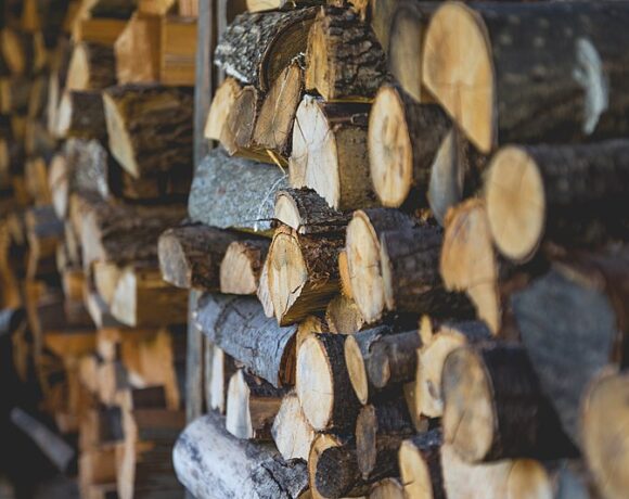Pests Hiding In Firewood | Research summary