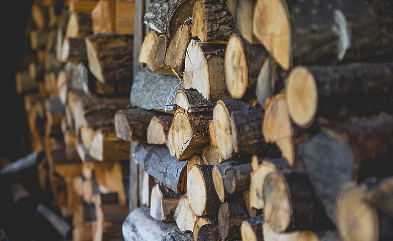 Pests Hiding In Firewood | Research summary